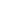 Theme Icon