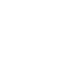 Theme Icon