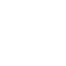 Theme Icon